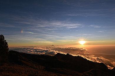 网易旗下工作室改名 正开发一个《战锤》游戏